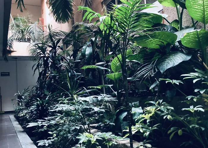 Mina Hotel México DF