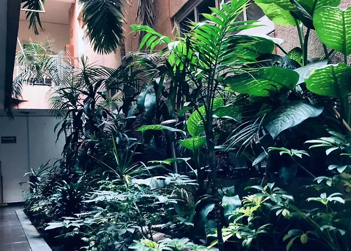 Mina 3* México DF