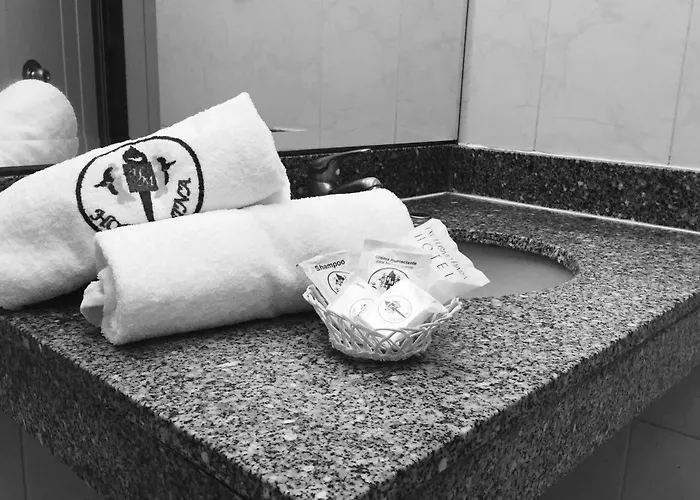 Mina 3* México DF